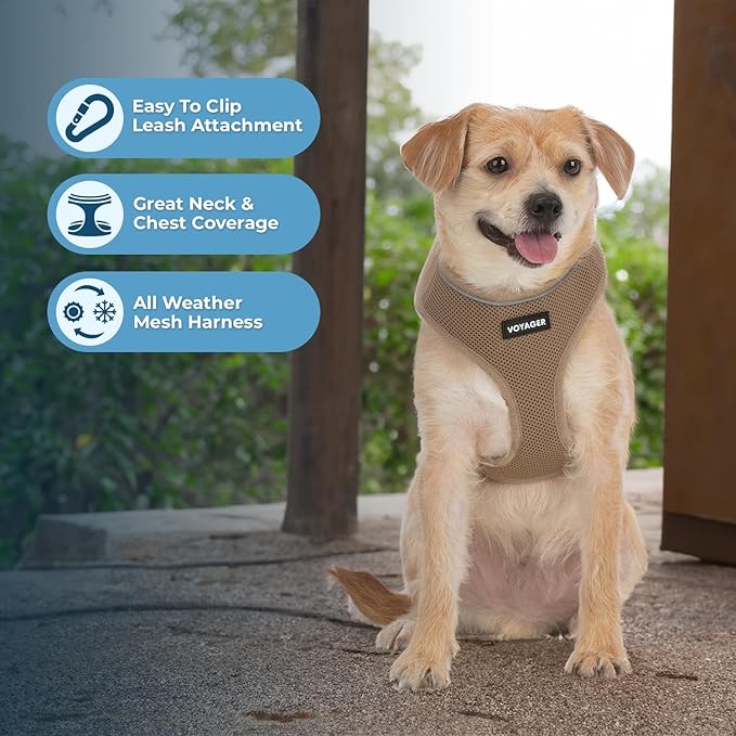 Best Pet Supplies Voyager Aerolite Adjustable No Pull Dog Harness with Reflective Stripes for Walking, Jogging, Heavy-Duty - Beige, Small
