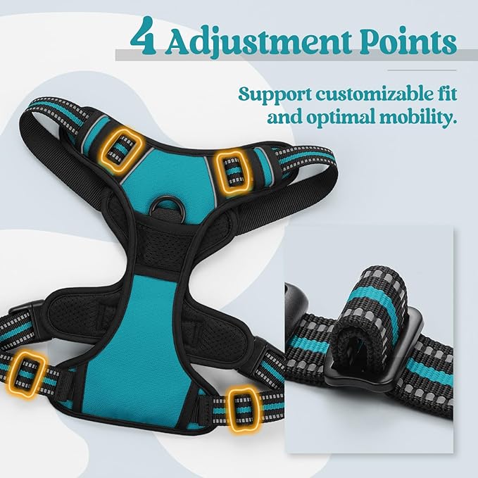 rabbitgoo Dog Harness No Pull with 2 Leash Clips, Adjustable Soft Padded, Reflective Oxford No Choke Pet Vest with Easy Control Handle for Large Dogs, Teal, L