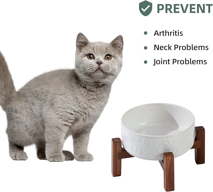 Ceramic 5.1inch Raised Dog and Cat Bowl Set, 2 Heights Elevated Wooden Stand for Puppy, Kitty, Cats, Weighted Pet Food and Water Dishes(5.1'',13.5oz, Arctic White)