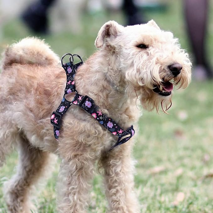 QQPETS Dog Harness Leash Set Adjustable Heavy Duty No Pull Halter Harnesses for Small Medium Large Breed Dogs Back Clip Anti-Twist Perfect for Walking
