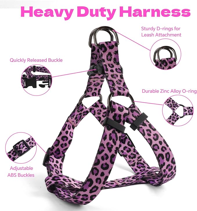 QQPETS Dog Harness Leash Set Adjustable Heavy Duty No Pull Halter Harnesses for Small Medium Large Breed Dogs Back Clip Anti-Twist Perfect for Walking