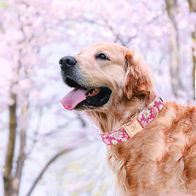 Elegant little tail Dog Collar, Pink Floral Pattern Pet Collar Durable Cute Dog Collars Summer Female Pet Gift Adjustable Dog Collar for X-Small Dogs