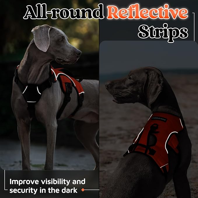 rabbitgoo Escape Proof Dog Harness, Soft Padded Full Body Pet Harness, Reflective Adjustable No Pull Vest with Lift Handle and Leash Clip for Large Dogs Walking Hiking Training, XL, Orange