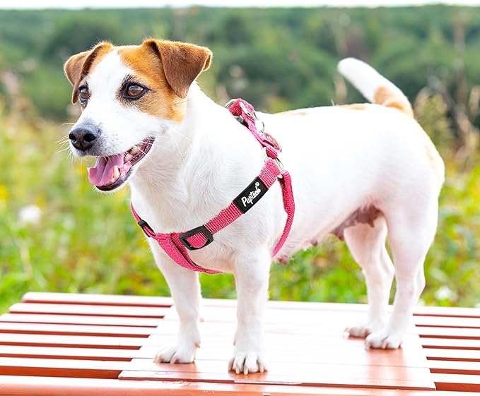 PUPTECK No Pull Dog Harness Soft Adjustable Basic Nylon Step in Puppy Vest Outdoor Walking with ID Tag, Reflecive Pink, S