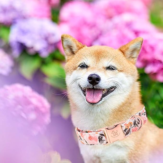 Elegant little tail Dog Collar, Pink Floral Pattern Pet Collar Summer Durable Cute Dog Collars Male or Female Pet Gift Adjustable Dog Collar for Medium Dogs