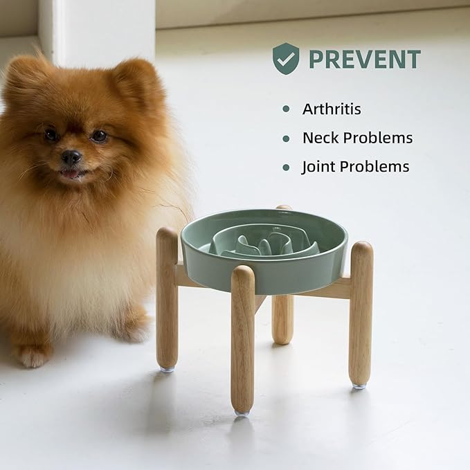 Ceramic 1.2 Cup Raised Slow Feeder Dog Bowl Set, Elevated Wooden Stand for Medium and Small Dog, 7.3inch Puzzle Slow Dish, Preventing Choking(Light Green, Single Bowl+ Stand)