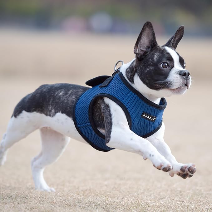 PUPPIA International Puppia Harness Soft B Vest Royal Blue XSmall