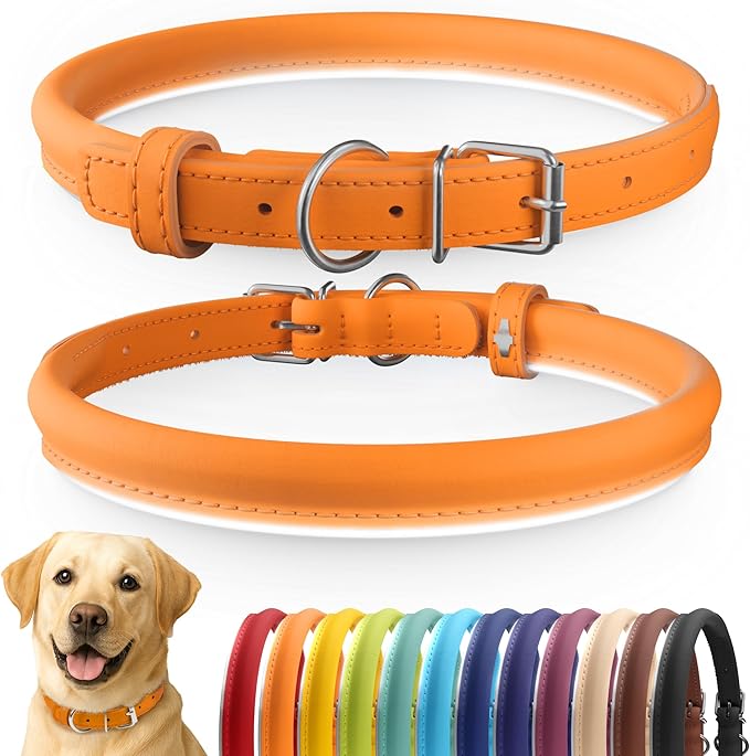 CollarDirect Rolled Leather Dog Collar, Soft Padded Round Puppy Collar, Handmade Genuine Leather Collar Dog Small Large Cat Collars 13 Colors (15-19 Inch, Orange Smooth)