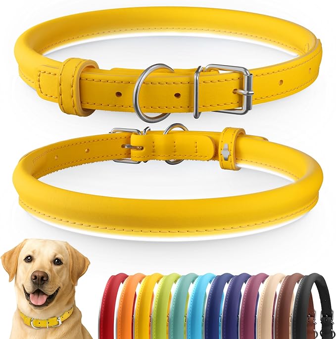 CollarDirect Rolled Leather Dog Collar, Soft Padded Round Puppy Collar, Handmade Genuine Leather Collar Dog Small Large Cat Collars 13 Colors (15-19 Inch, Yellow Smooth)