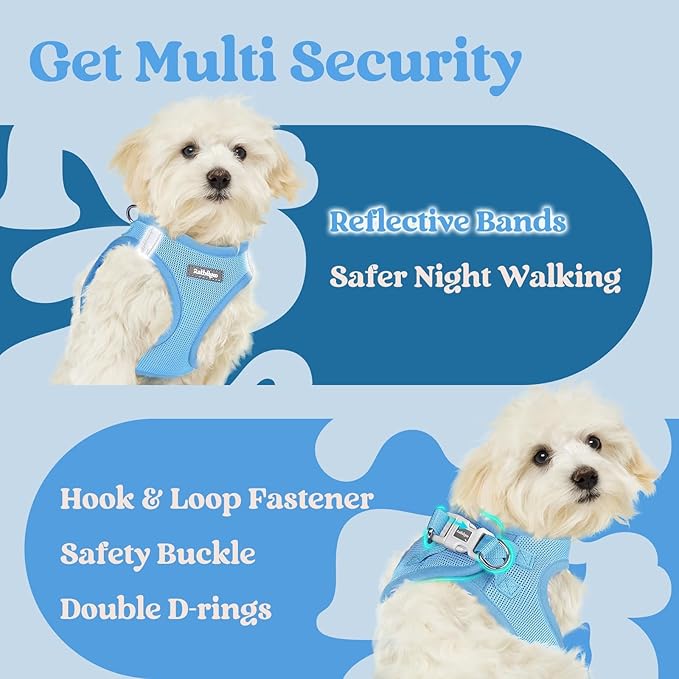rabbitgoo Small Dog Harness, Step-in Soft Mesh Puppy Vest with Safety Buckle, Breathable Reflective Pet Harness for Extra Small Dogs, Blue XXXS