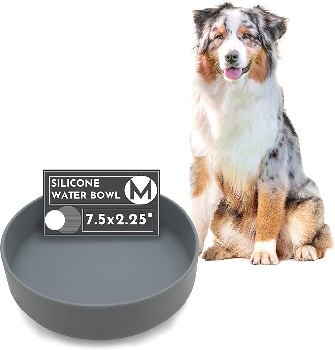 Should We Go? Dog Water Bowl - The Perfect Dish No-Spill, Less Mess Non-Tippable Water & Food Bowl, Silicone with Suction Cup, Fits 5 Cups 7.5" Across x 2.25" Tall, Ideal for All Pets, Medium-Charcoal