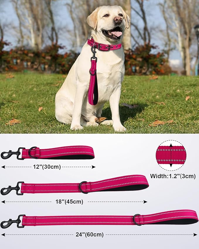 Joytale Strong Short Dog Leash 18 Inch, 1.2 Inch Wide, Heavy Duty, Padded Handle for Traffic Control, Reflective Leash for Medium and Large Dogs Walking Training,Hot Pink