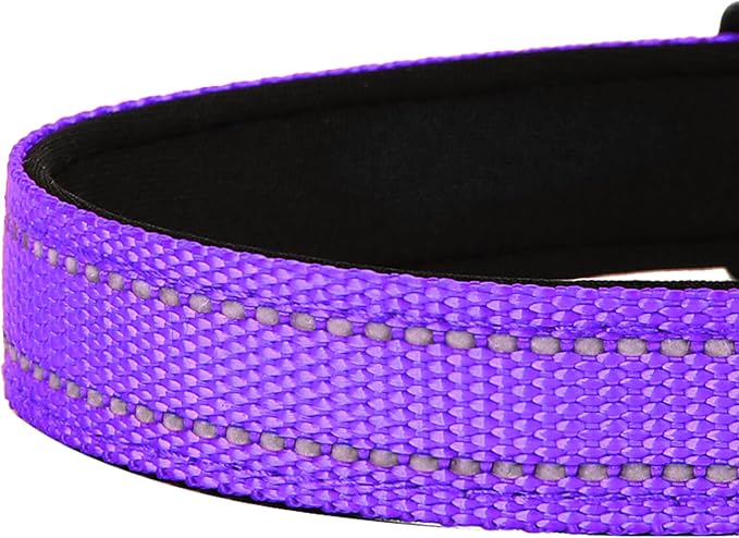 Reflective Dog Collar, Adjustable Soft Neoprene Padded Nylon Pet Collars with Buckle for Puppy and Small Dogs, Cats, Purple,XS