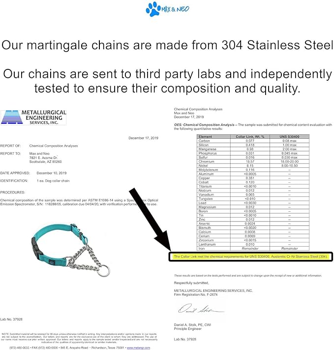 Max and Neo Stainless Steel Chain Martingale Collar - We Donate to a Dog Rescue for Every Collar Sold (Medium, Orange)
