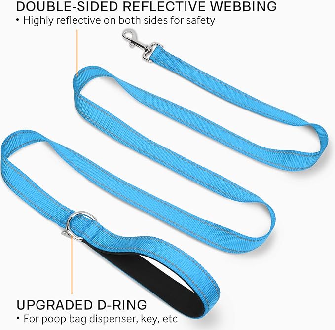 Joytale Dog Leash Heavy Duty for Large Medium Dogs, 6 FT Reflective Nylon Pet Walking Lead with Soft Padded Handle, Durable & Tangle Free for Training, Running & Safety Control, Sky Blue