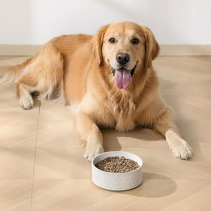 MALACASA Ceramic Dog Food Bowl, 6 Cups or 54 oz Dog Food Water Dish for Large Breeds, Pet Bowl Dishwasher & Microwave Safe, Five-Leaf Grass, Series Lydia