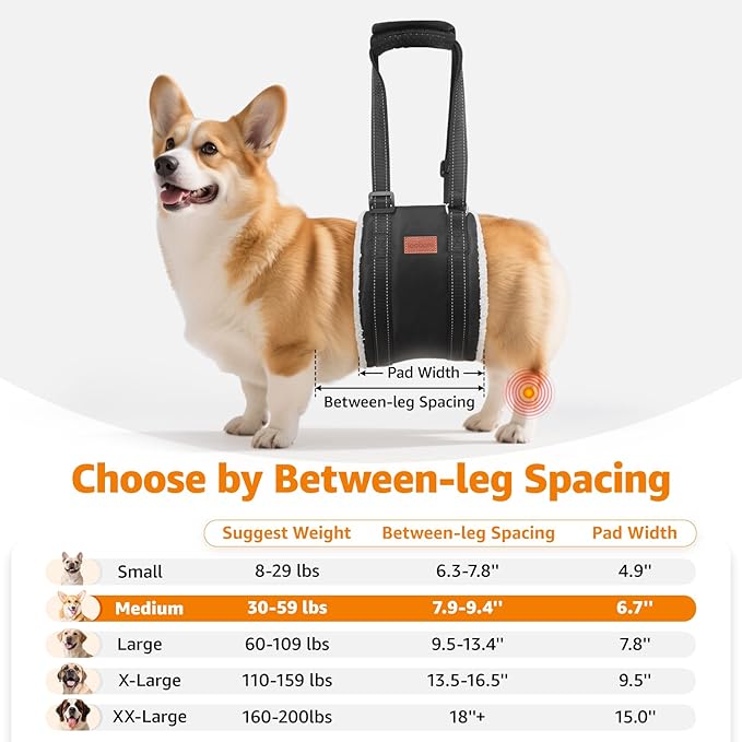 LOOBANI Portable Dog Sling for Back Legs, Hip Support Harness to Help Lift Dogs Rear for Canine Aid and Old K9 Cruciate Ligament Rehabilitation