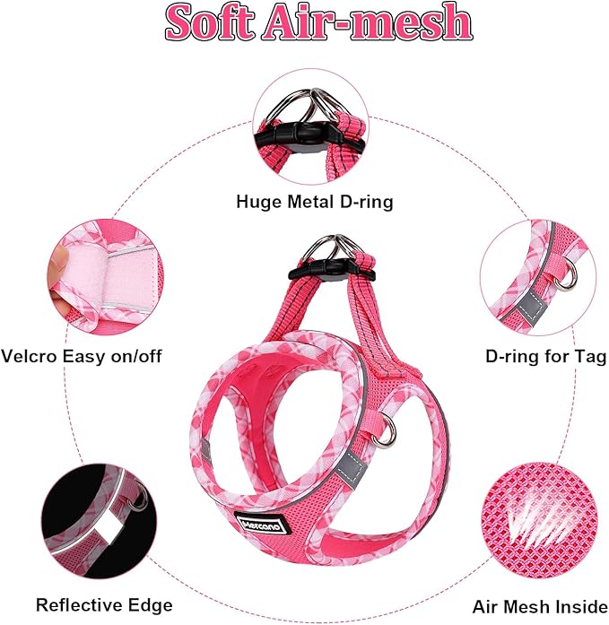 Mercano Soft Mesh Dog Harness and Leash Set, No-Chock Step-in Reflective Breathable Lightweight Easy Walk Vest Harnesses with Safety Buckle for Small Dogs, Cats (M, Fuchsia)