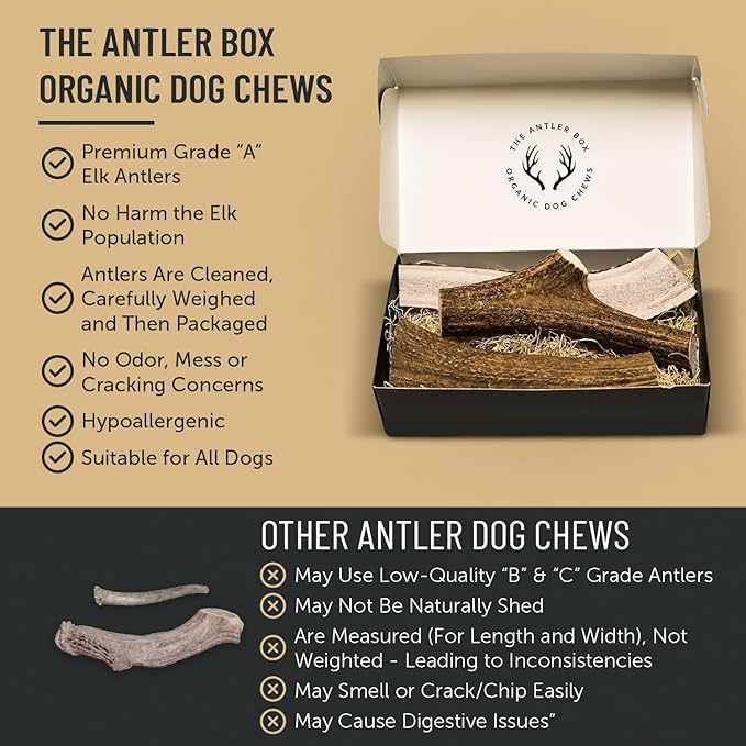 The Antler Box Premium Elk Antler Dog Chews (1 Pound Box) (Small (7-8 Pieces) Whole/Split Mixed)