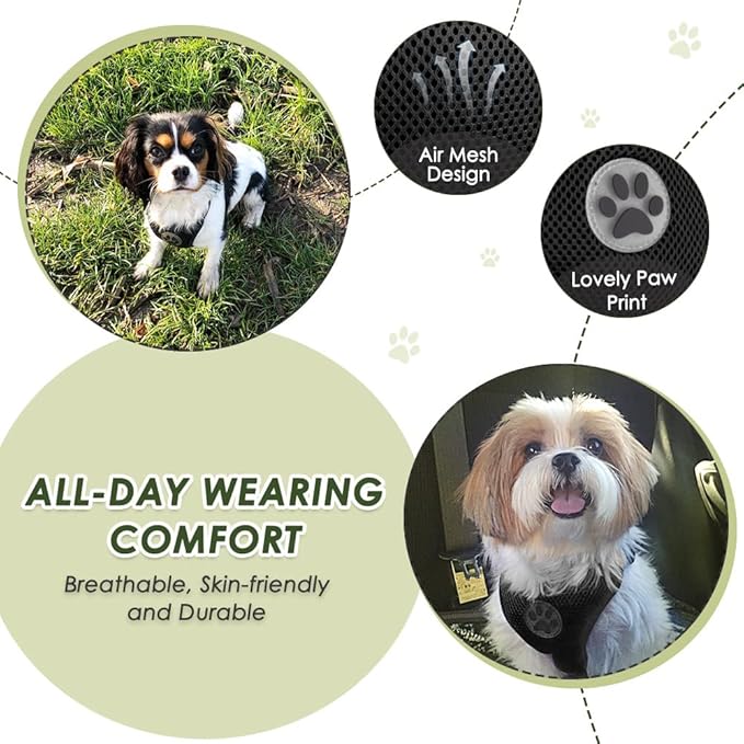 Lukovee Dog Seat Belt for Car, Adjustable Dog Car Harness for Large Medium Small Dogs, Soft Padded & Breathable Mesh Dog Seatbelt with Car Strap and Carabiner (Black,XS)