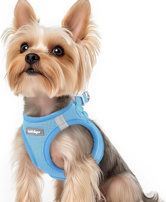 rabbitgoo Small Dog Harness, Step-in Soft Mesh Puppy Vest with Safety Buckle, Breathable Reflective Pet Harness for Small Sized Dogs, Blue XS