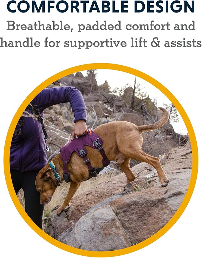 Ruffwear, Web Master, Multi-Use Support Dog Harness, Hiking and Trail Running, Service and Working, Everyday Wear, Red Sumac, Small