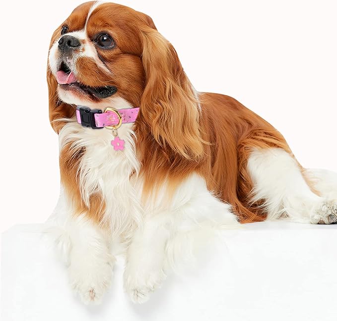 Cotton Handmade Dog Collar for Small Medium Large Dogs,Pink Flowers with Pendant Cute Dog Collars (Large)