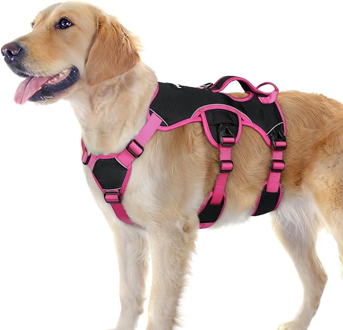 rabbitgoo Escape Proof Dog Harness Large Dogs, Soft Padded Full Body Pet Harness, Reflective Adjustable No Pull Vest with Lift Handle and Leash Clip for Walking Hiking Training, Pink & Black, L