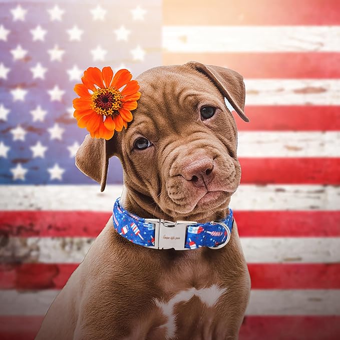 Unique style paws Independence Day Dog Collar Metal Buckle Ice Flag Collar Gift Durable Cute Collar for Small Medium Large Boys Girls Dogs