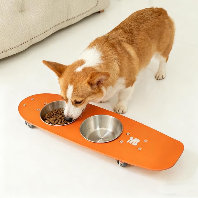 Dog Bowls Water and Food Cat Bowl Stainless Steel Bowl Pet Feeder Bowls for Medium Dogs and Cats Puppies, Orange