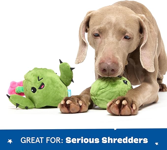 Barkbox Consuela The Cactus 2-in-1 Interactive Plush Dog Toy - Squeaky Dog Chew Toy with Crinkle Layers - for Large Dogs and Puppies
