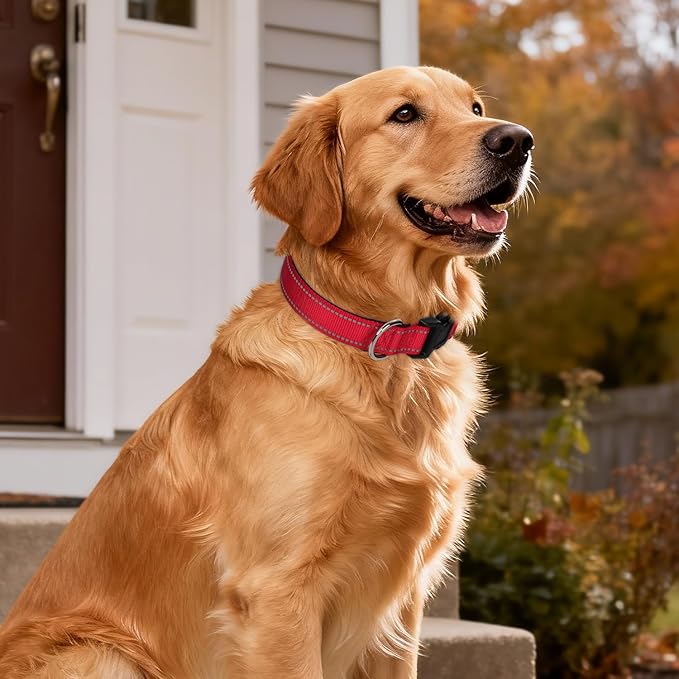 Reflective Dog Collar for Large Dogs, Wide Nylon Adjustable Collar with Soft Padding, Durable Buckle for Pitbull Labrador Retriever,Red,L