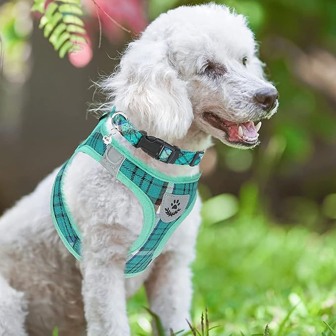 PUPTECK Adjustable Dog Harness Collar and Leash Set Step in No Pull Pet Harness for Small Medium Dogs Puppy and Cats Outdoor Walking Running, Soft Mesh Padded Reflective Vest Harnesses, Lake Green XL