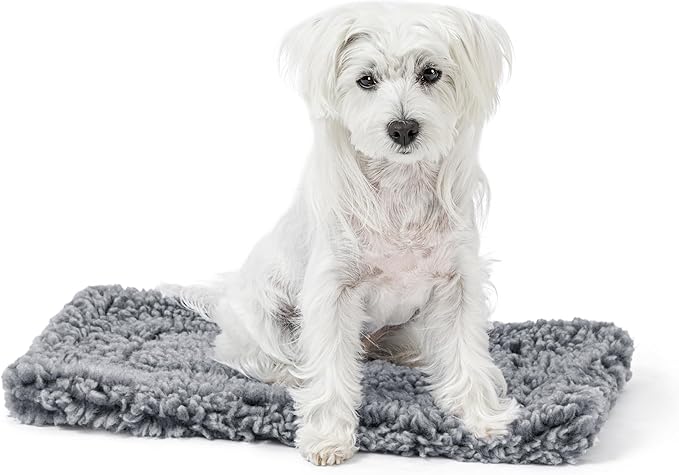 Stoutwool Indestructible Dog Bed - Fluffy Chew Proof Dog Crate Pad - Tough Kennel Pad for Aggressive Chewers - Ideal for Extra Small Breeds & Fits 22-Inch Crate - 21"x12", Charcoal