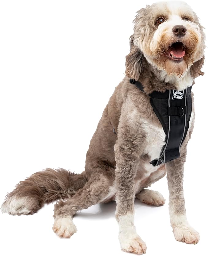Kurgo Tru-Fit Smart Dog Walking Harness - Comfortable Fit - Adjustable Harness - Reflective Pet Wear - Quick Strap Release - Daily Walk Accessory - Includes Seat Belt Loop - Black - Large