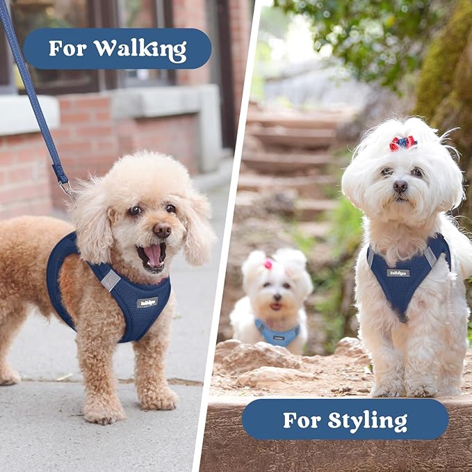 rabbitgoo Small Dog Harness, Step-in Soft Mesh Puppy Vest with Safety Buckle, Breathable Reflective Pet Harness for Small Medium Dogs, Navy Blue L