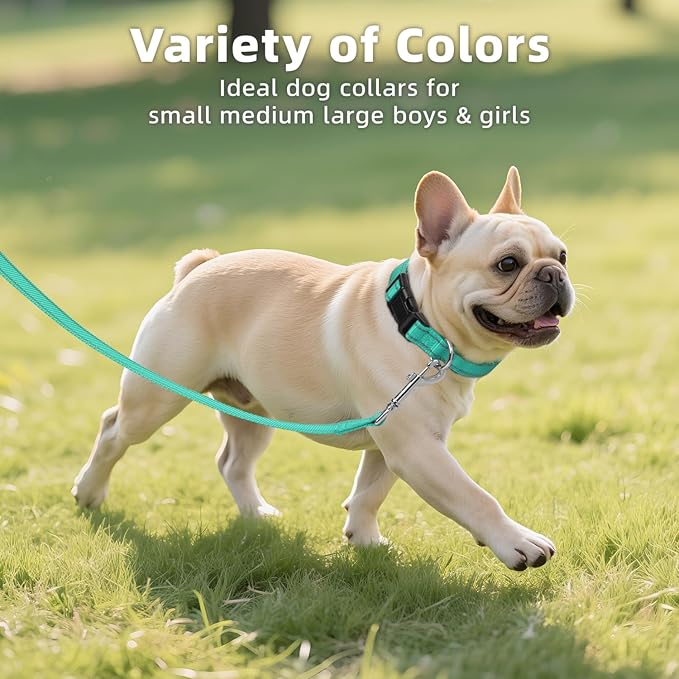 Reflective Dog Collar for Mediunm Dogs, Adjustable Collar with Soft Neoprene Padded, Durable Buckle for Daily Walking,Teal,M, 3/4" Width