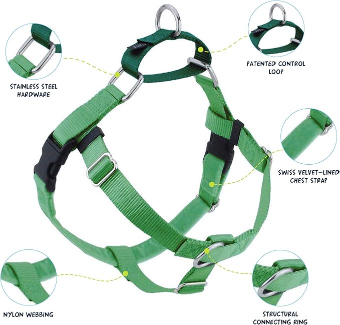 2 Hounds Design Freedom No Pull Dog Harness, Adjustable Harness and Leash Set, Easy Walking & Comfortable Control, Fits Small, Medium & Large Dogs, Solid Colors, Made in USA, 1" XL, Neon Green