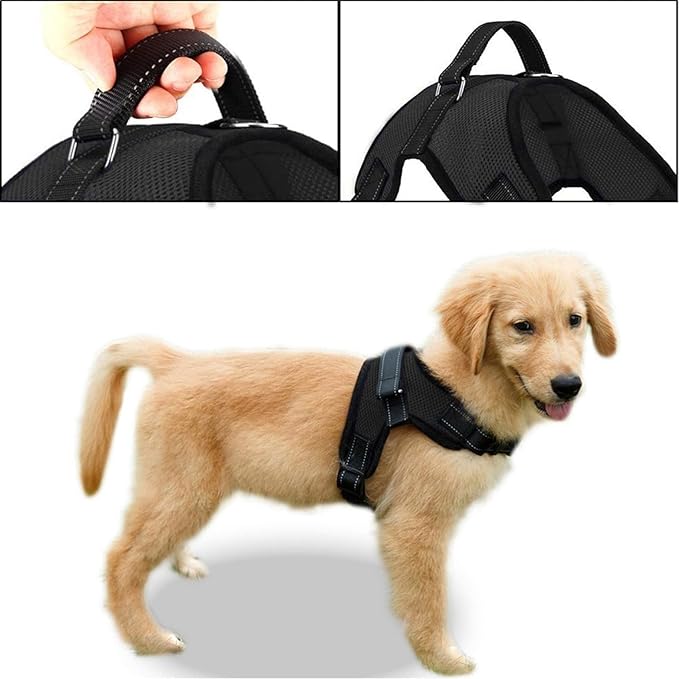 No Pull Reflective Adjustable Dog Harness With Handle- Comfortable Soft All Weather Mesh, Easy On Puppy Harness For Small Medium and Large Dogs (Black) X-Small