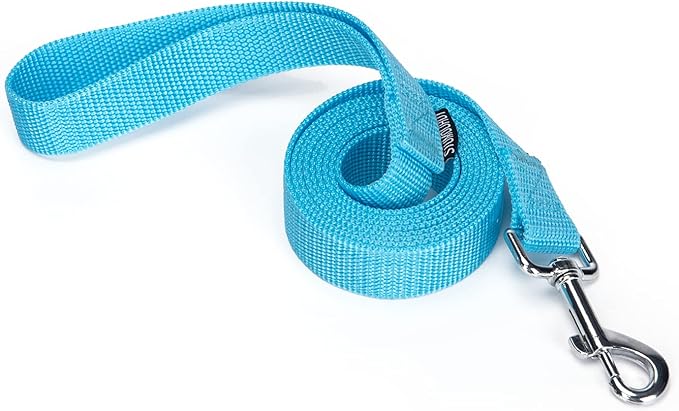 Strong Durable Nylon Dog Training Leash, 1 Inch Wide Traction Rope, 6 ft Long, for Small and Medium Dog (Mint Blue, 6 Feet)