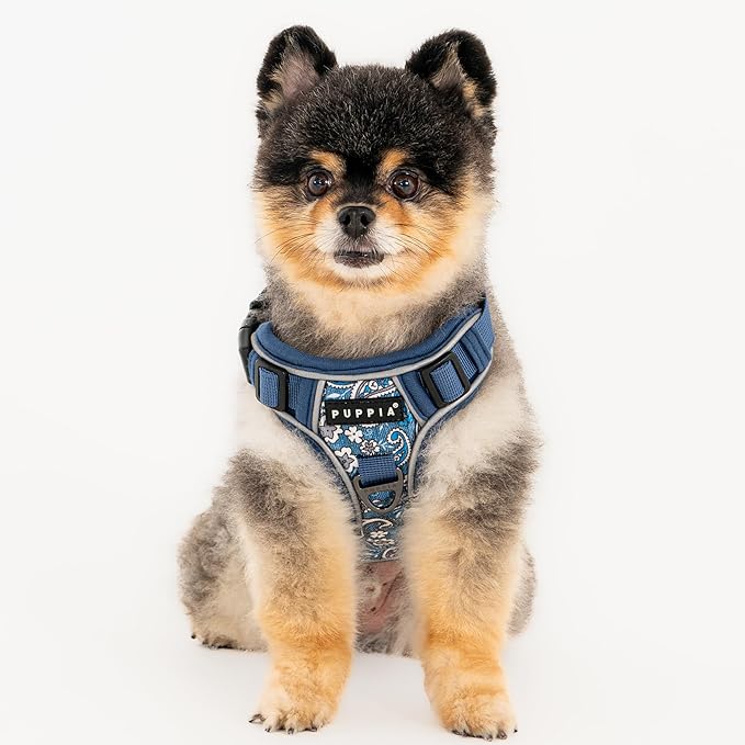 Puppia Cynthia Dog Harness H Sturdy Adjustable Neck and Chest Reflective Flower Pattern Front and Back D-Ring for Small and Medium Dogs, Blue, Small
