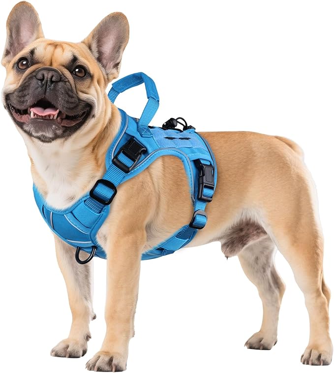 WINGOIN Blue Tactical Dog Harness for Small Dogs, Heavy Duty No Pull Harness with Handle, Adjustable Reflective Military K9 Pet Vest for French Bulldog, Pug, Walking, Training, Hunting (S)