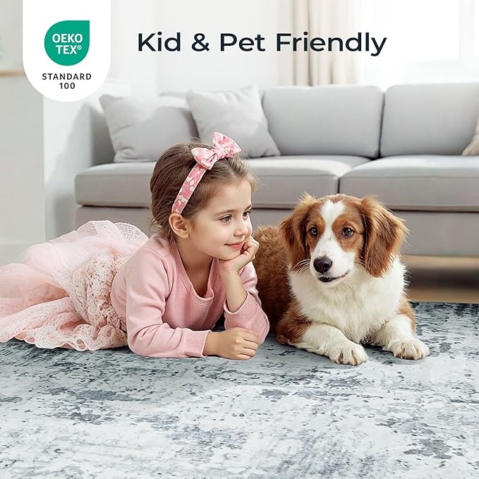 Washable Rugs 5x7 Area Rugs for Living Room, Light Blue Modern Abstract Carpet for Bedroom, Non-Slip Soft Accent Rug for Kids Room Office Dining Room