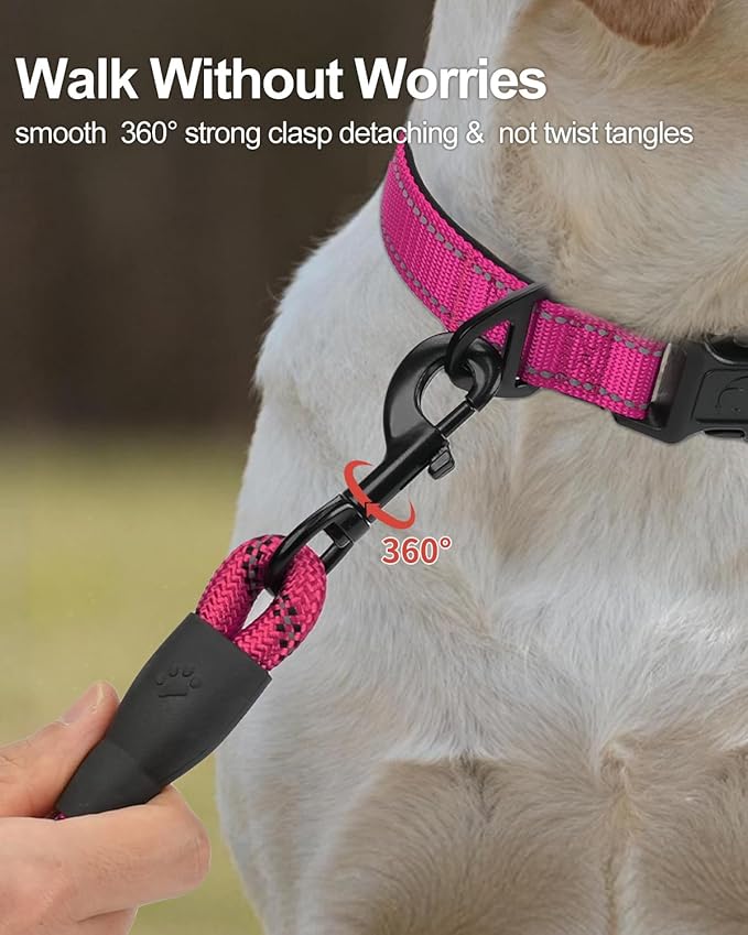 Joytale Dog Leash for Small Dogs, Heavy Duty Nylon Leashes with Comfortable Padded Handle and Highly Reflective Threads, Ideal for Walking and Training, Hotpink, 5'횞3/8''