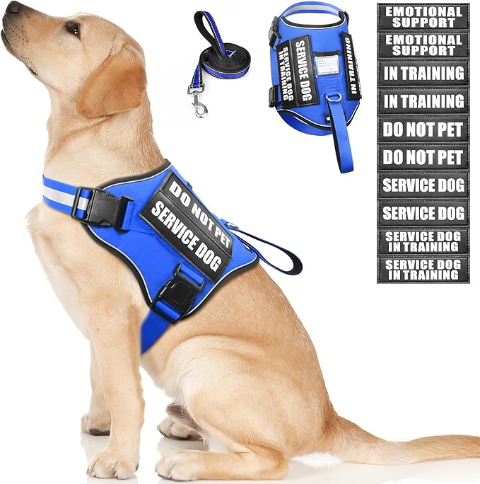 Service Dog Harness and Leash Set, Training Dog Vest with 10 Dog Patches, Emotional Support Therapy Dog Vest Harness for Small Medium Large and Extra Large Dogs(Blue, L)