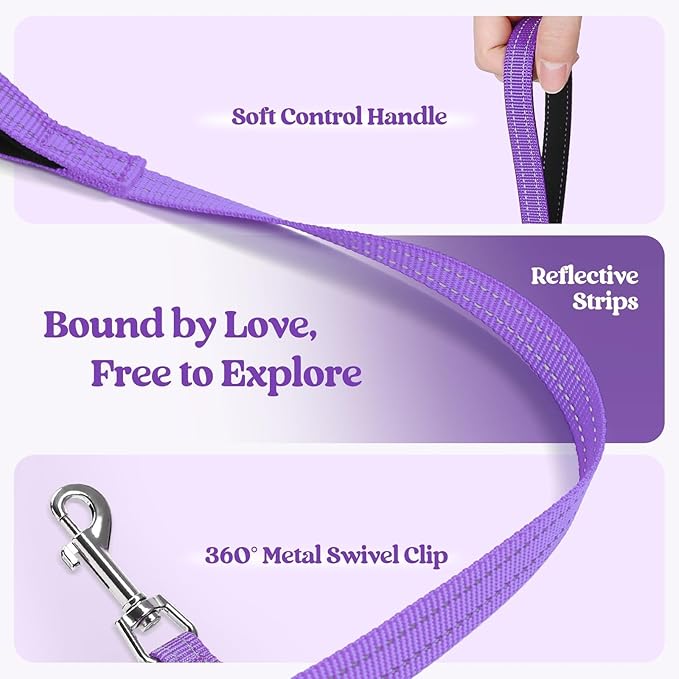 rabbitgoo Dog Harness Small Sized and Leash Set, Step in Soft Light Puppy Vest, Breathable Mesh Pet Harness, Reflective for Safe Outdoor Walking, Purple XXS