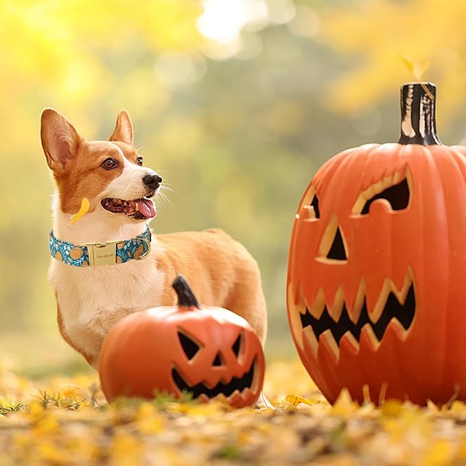 Unique style paws Dog Collar Green Pumpkin Flower Metal Buckle Durable Puppy Collar Halloween for Small Medium Large Boys Girls Dogs