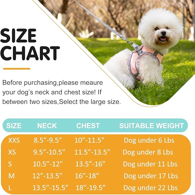 Dog Harness & Leash Set - No Pull Soft Breathable Small Dog Harness, Adjustable Reflective Step-in Vest for Puppy, Kitten, Cats