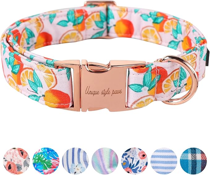 Unique style paws Dog Collar Metal Buckle Orange Collar Gift Durable Cute Collar for Small Medium Large Boys Girls Dogs