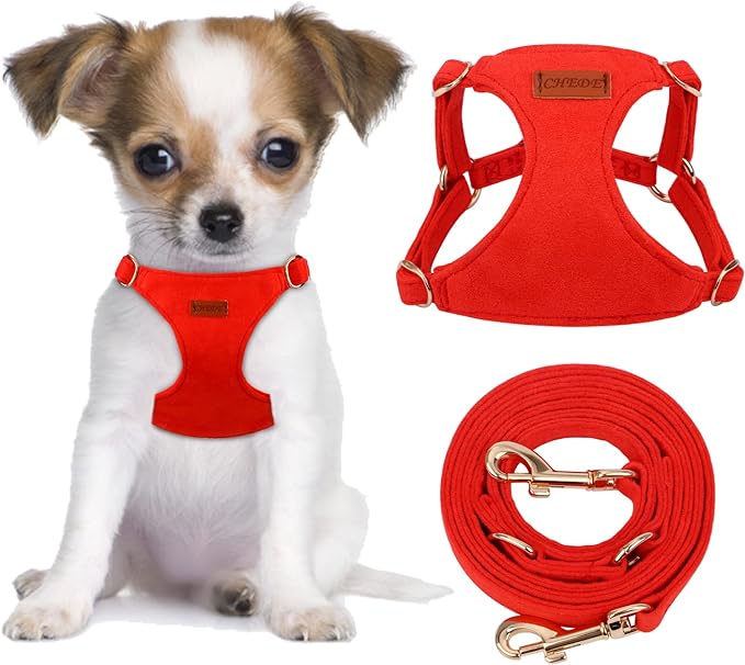 CHEDE No Pull Puppy Harness and Multifunction Dog Leash Set- 8 Colors Soft Adjustable No Choke Escape Proof Cute,Lightweight Pet Vest Harness for Small and Medium Dog (XS, Red)